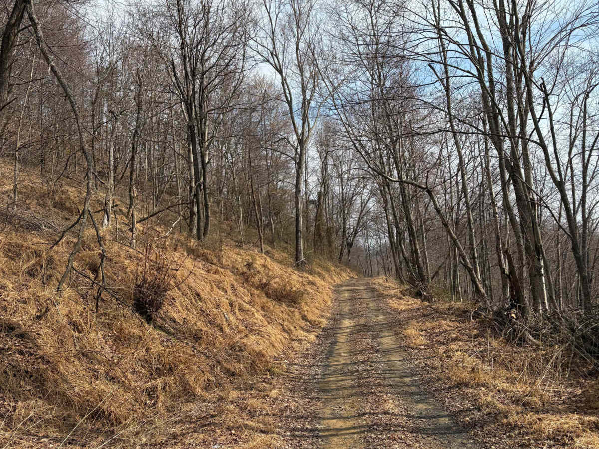 Trail 5 photo 5