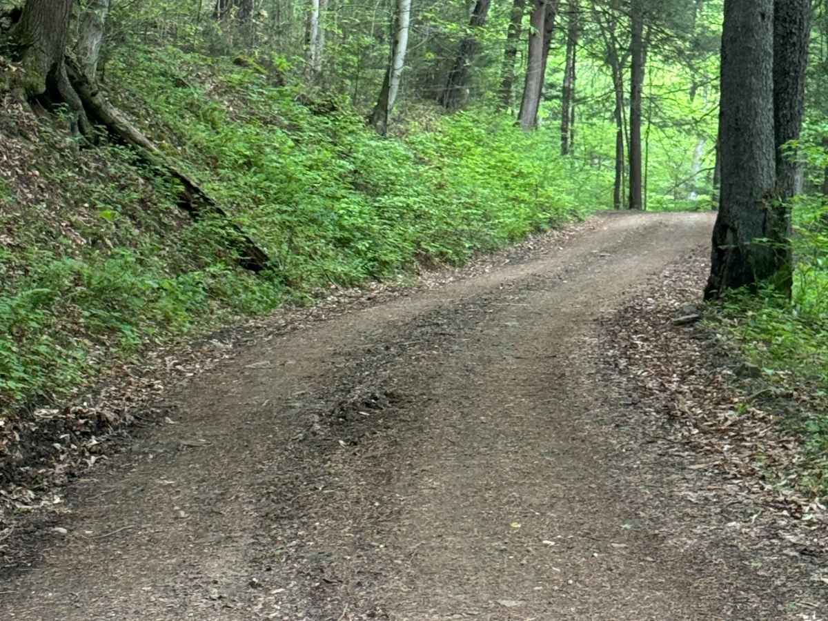 Big Springs Road photo 3