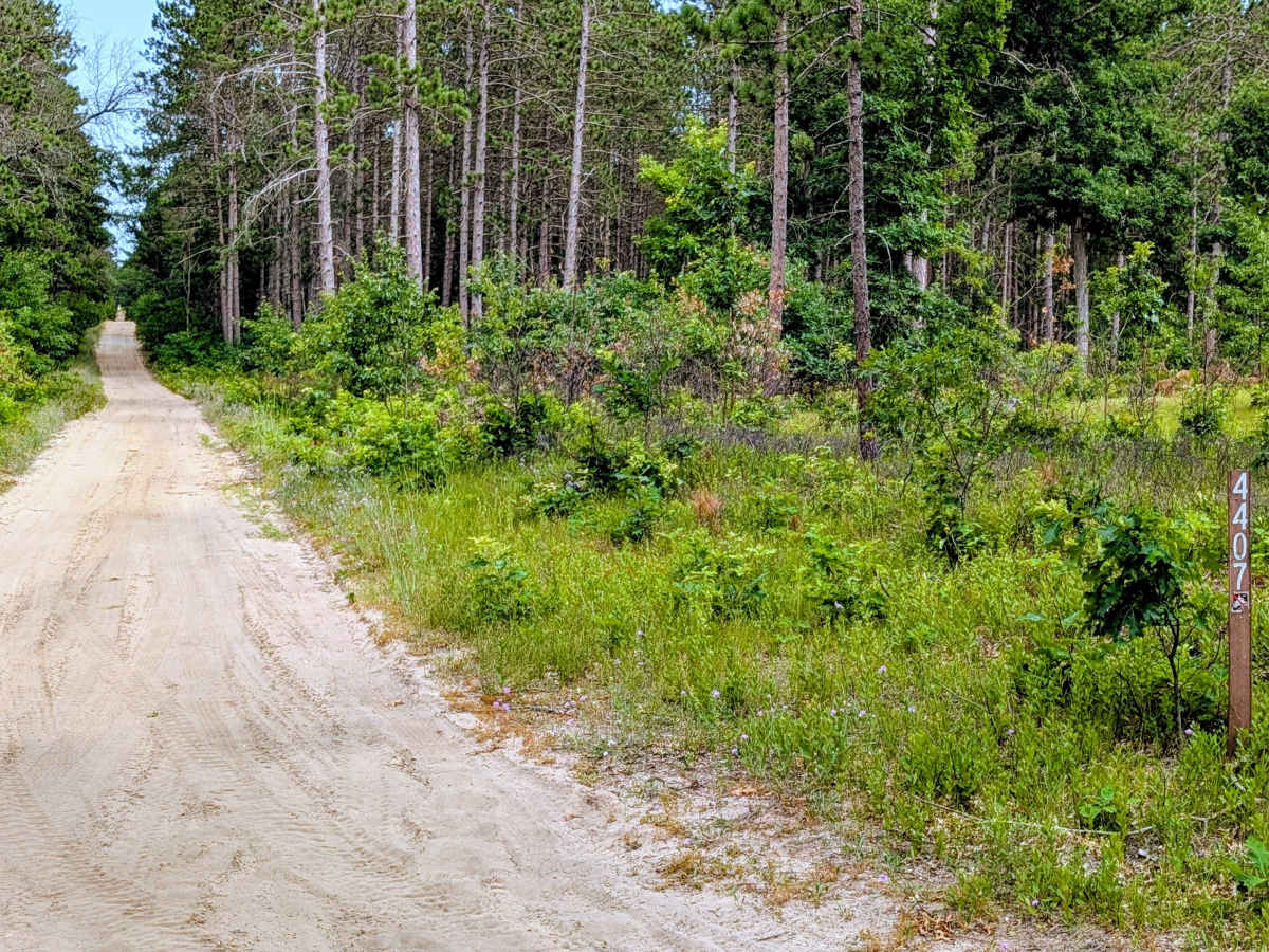 Webb Road - FS 4407 photo 6
