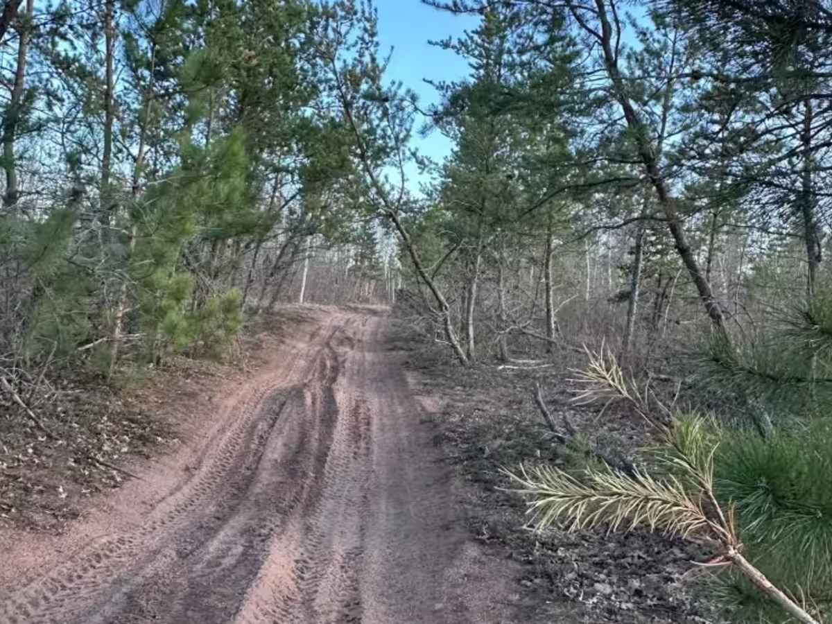 Zalesky Lake Trail photo 4
