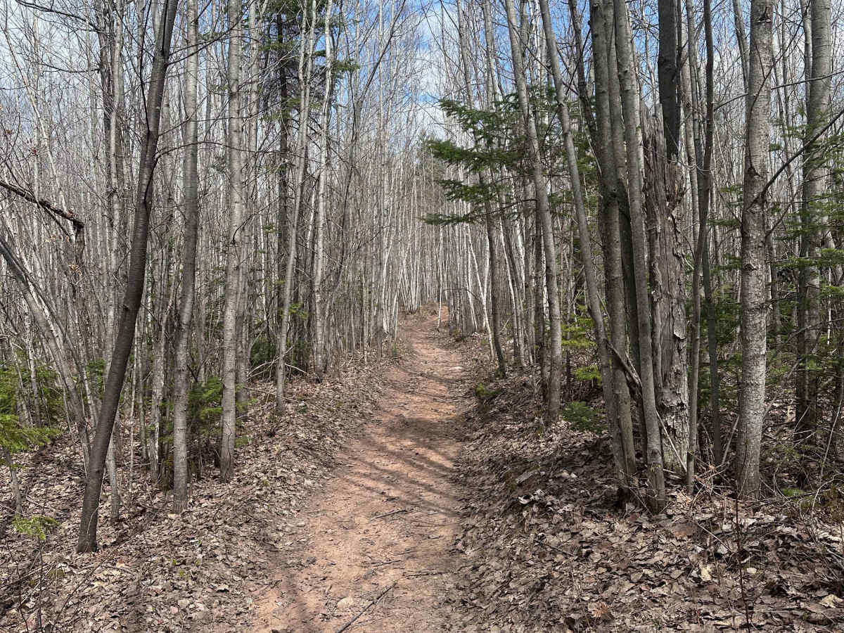Wilderness Trail photo 4