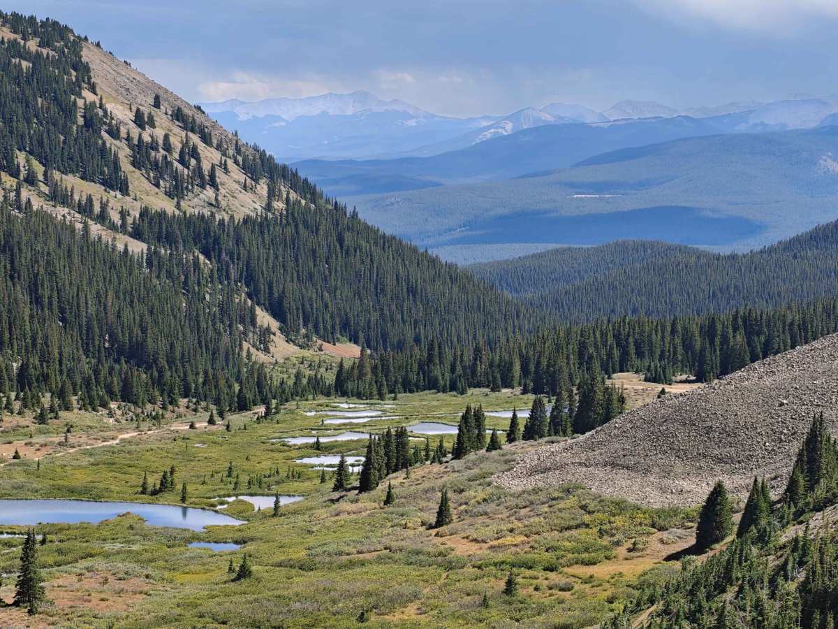 Tellurium Creek Road trail photo