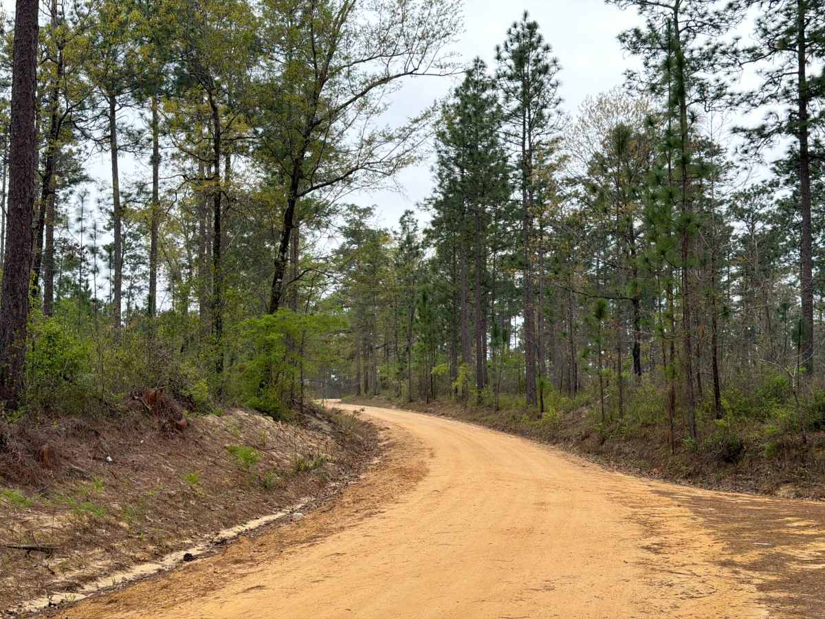 Simmons Road photo 2