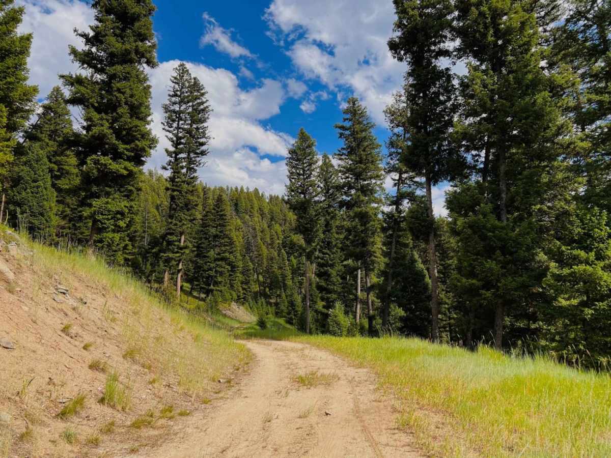 Bush Moose Ridge photo 6