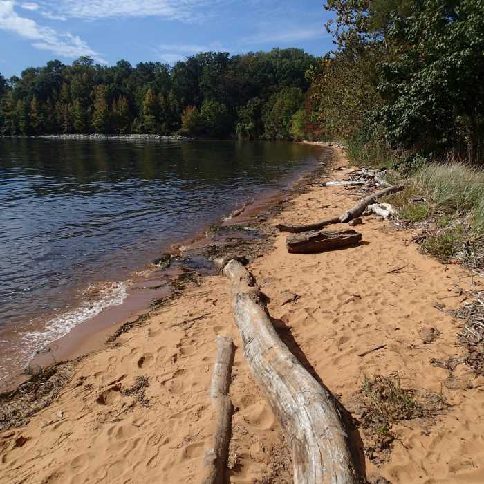 Near Beaver Marsh Loop