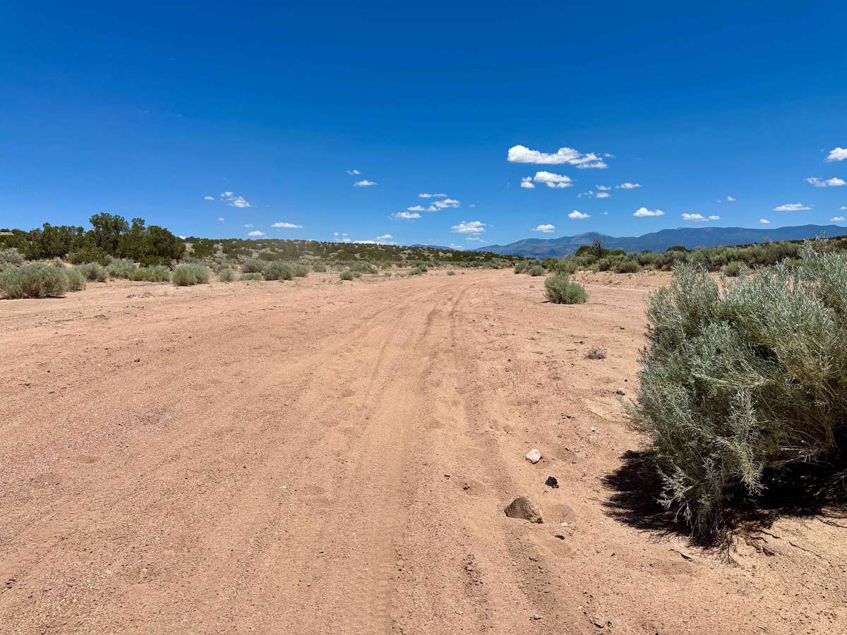 Sand Drag Strip photo 6