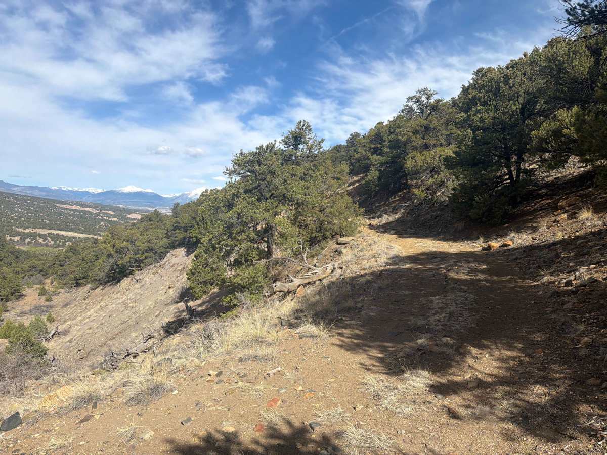 BLM 5971A photo 3