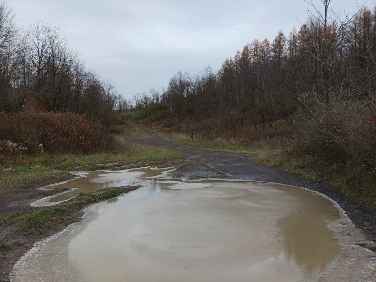Hillcrest Drive - Rock Run Recreation Area trail photo