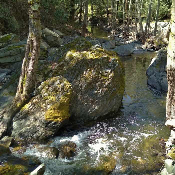 Near Smith Creek Trail