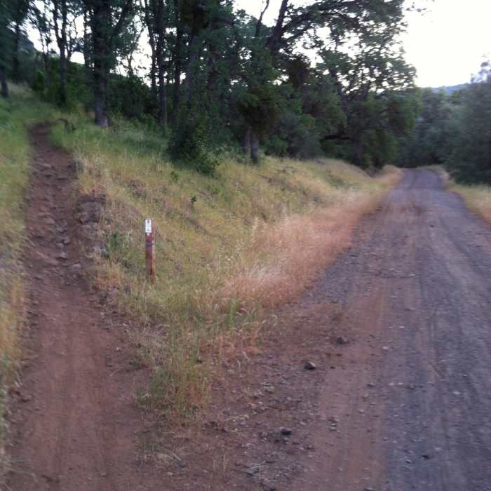 Near Bidwell Park Tour