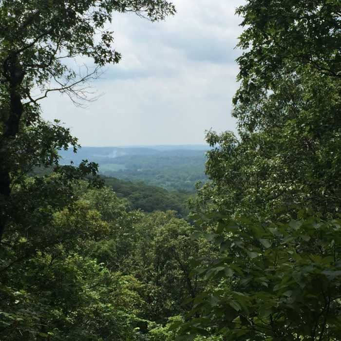 Near Flint Quarry Trail