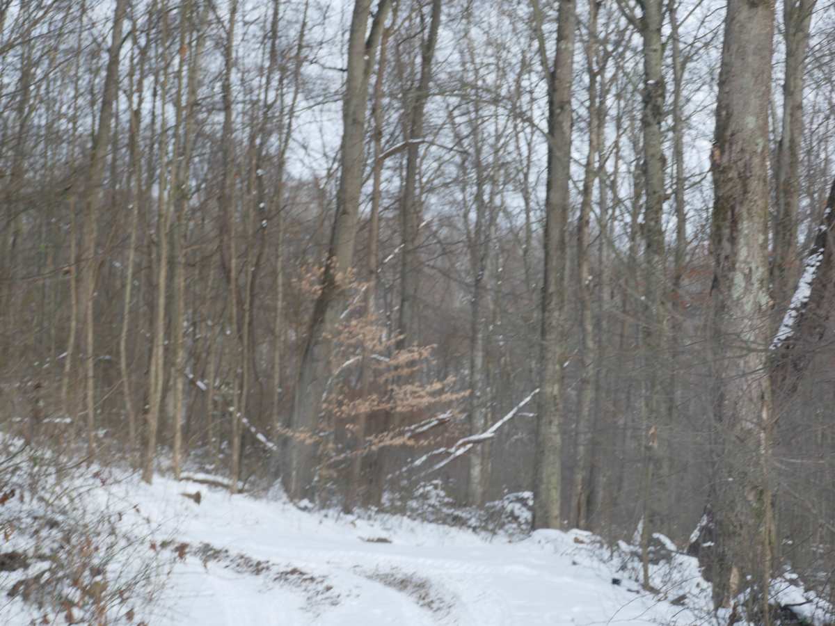 Trail 19 photo 4