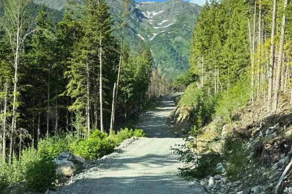 Oliver Creek Trail