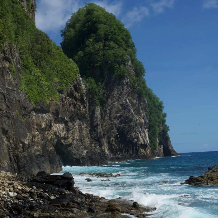 Near Pola Island Trail