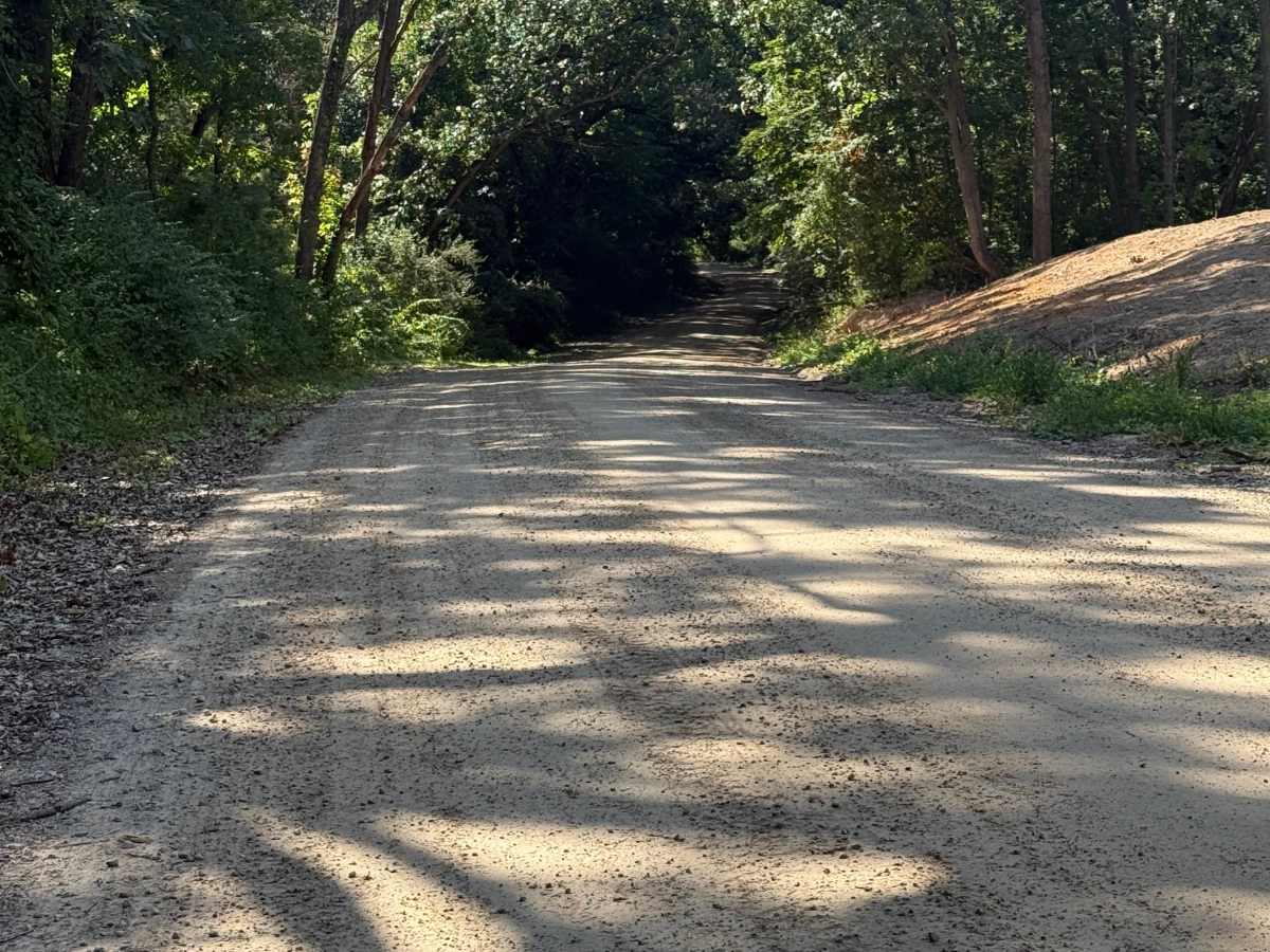Tiplady Trail trail photo