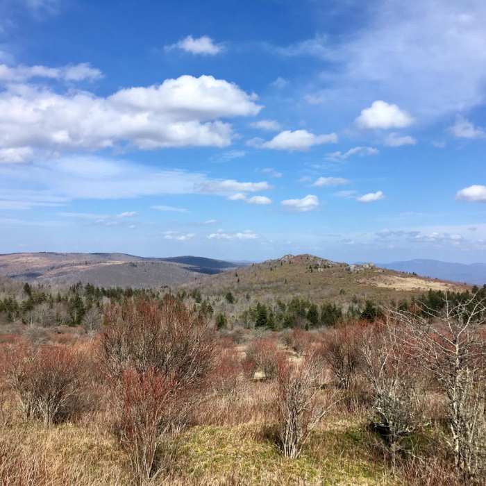 Near Grayson Highlands Backpacking Loop