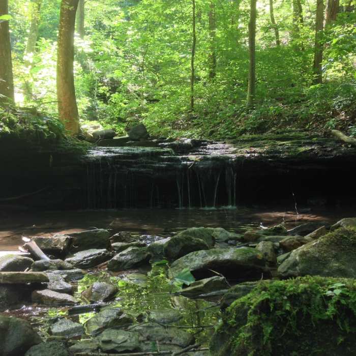 Near McCoy Hollow Trail