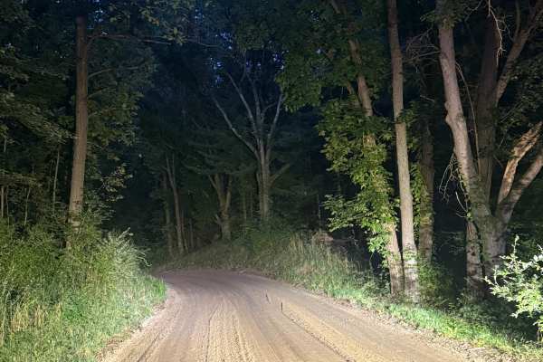 Brady Trail