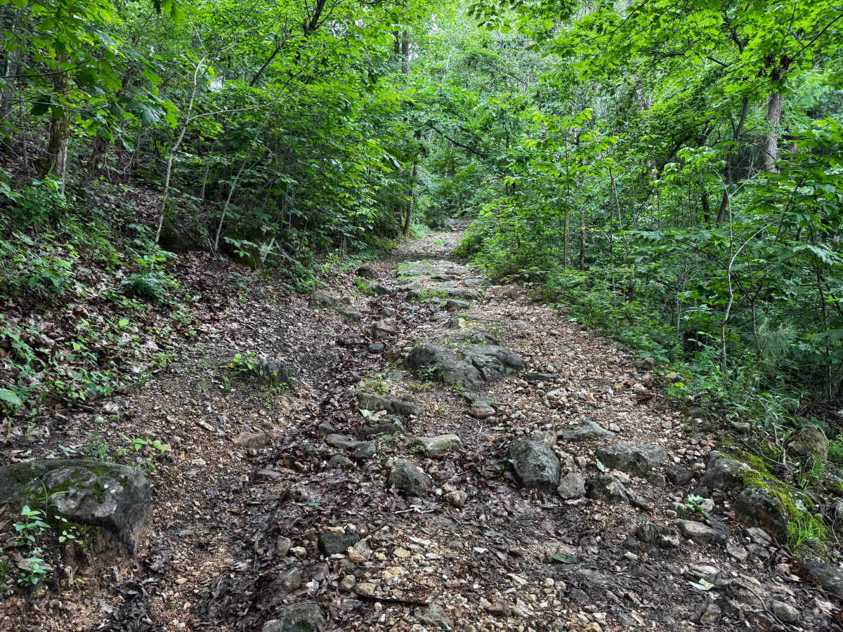 Mountain Ridge Home photo 5