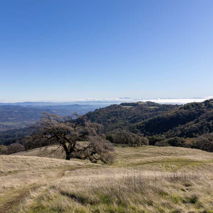 Near North Sonoma Mtn Trailhead to Sonoma Mtn Peak