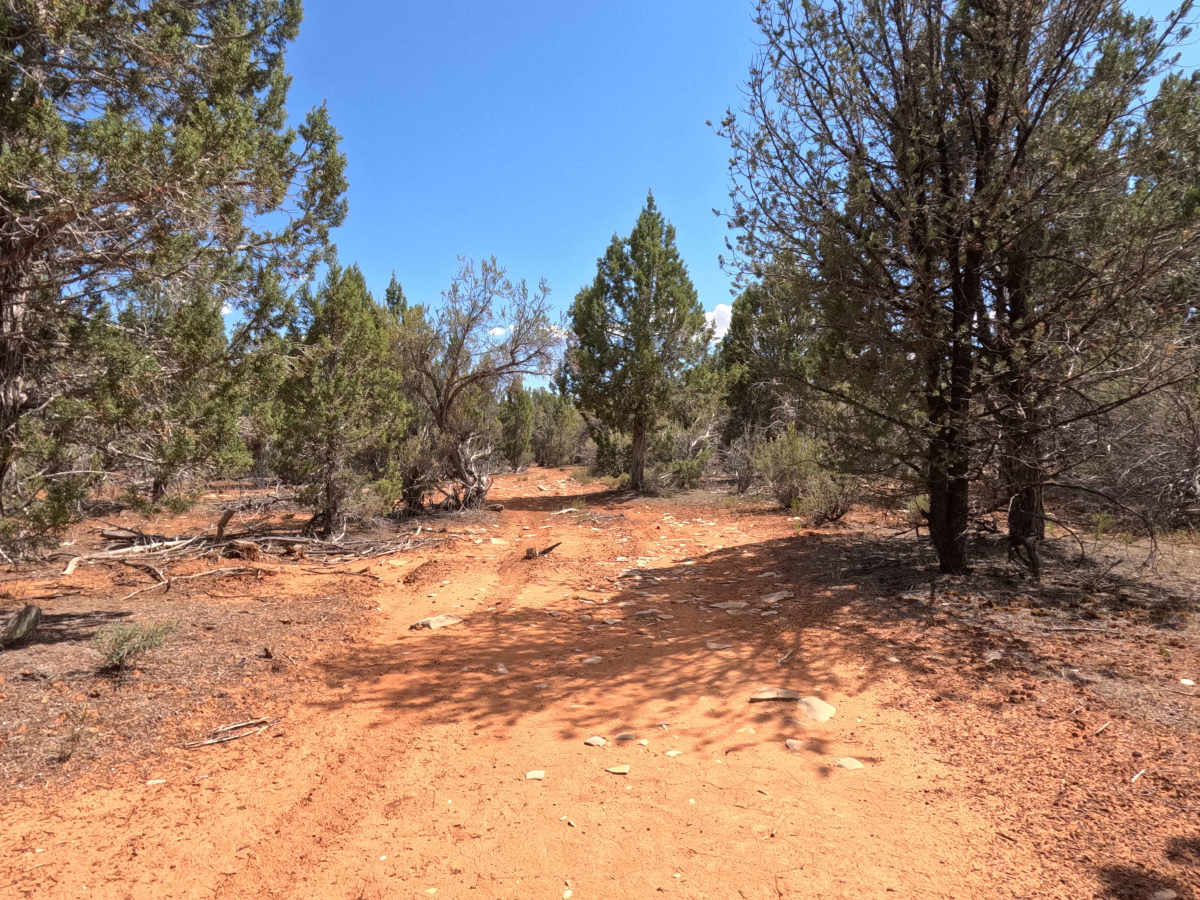 BLM 46H Spur photo 5