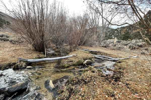 Chiatovitch Creek to Middle Creek