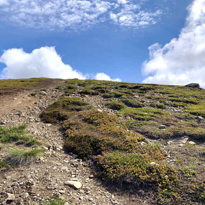 Near Near Point Near Near Point