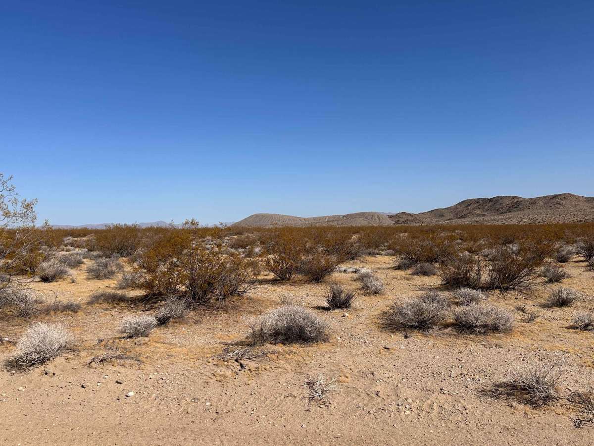 Borax Highway Ridge photo 6