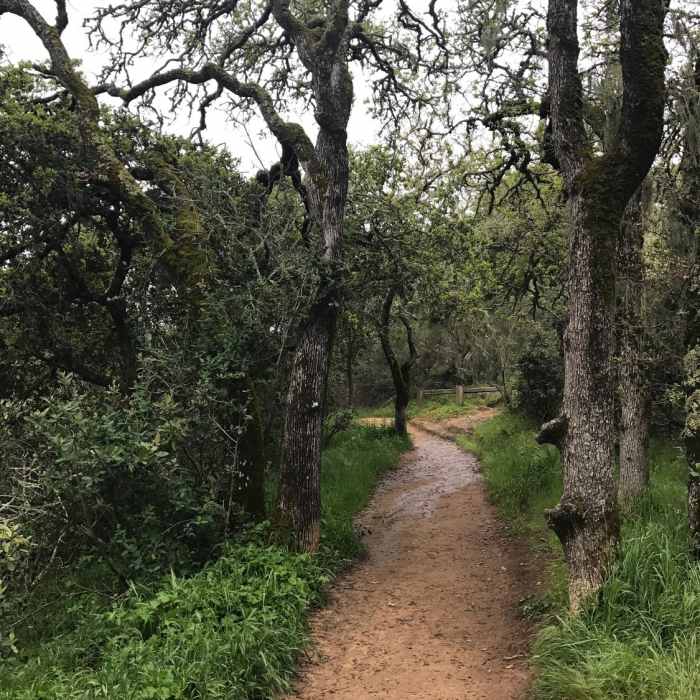 Near Dick Bishop Trail