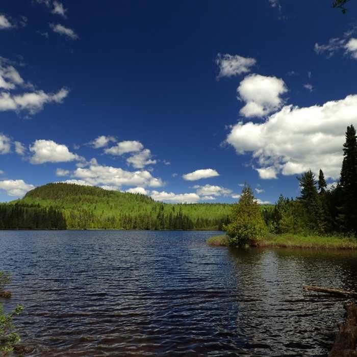 Whale Lake. Near Eagle Mountain