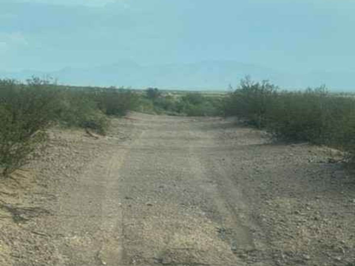 SS1130 photo 3
