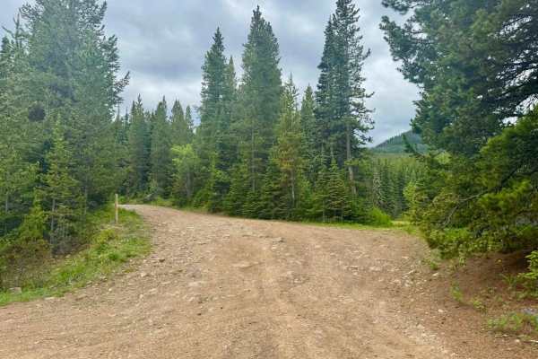 Big Bear Lake Road
