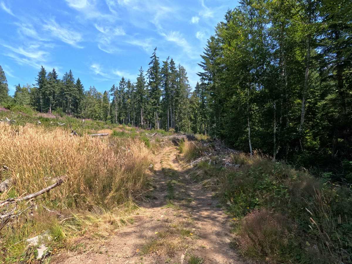 Outer Space trail photo