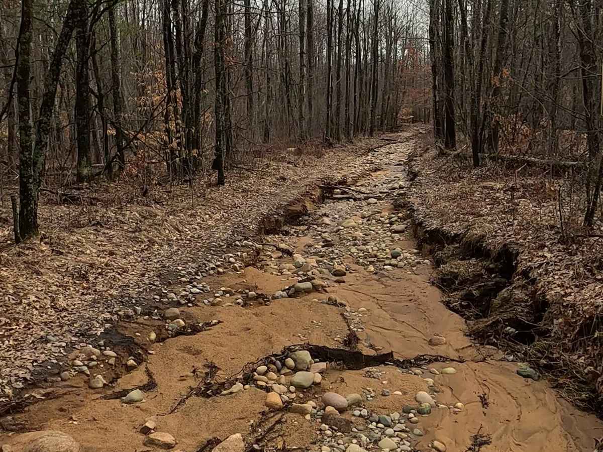 Alcona County Trail - ORV H7 photo 4