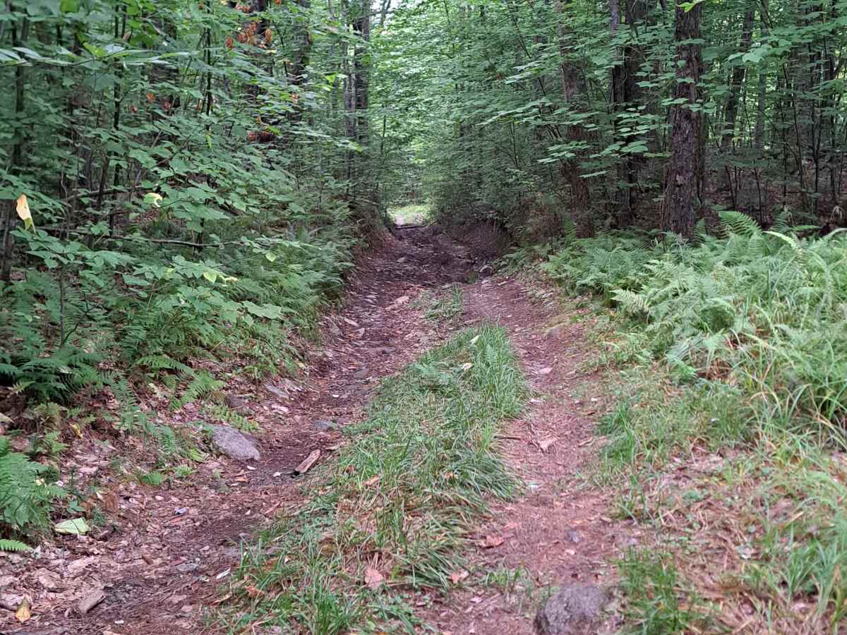 Grantham Mountain Road photo 3