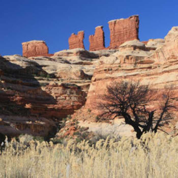 Near The Maze Canyonlands Loop