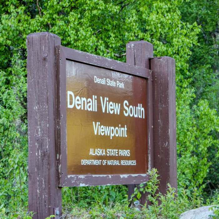 Near Denali Viewpoint South Near Denali Viewpoint South