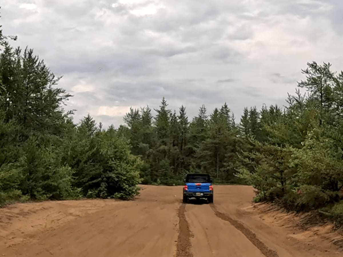 Gladwin Forest Baja photo 5