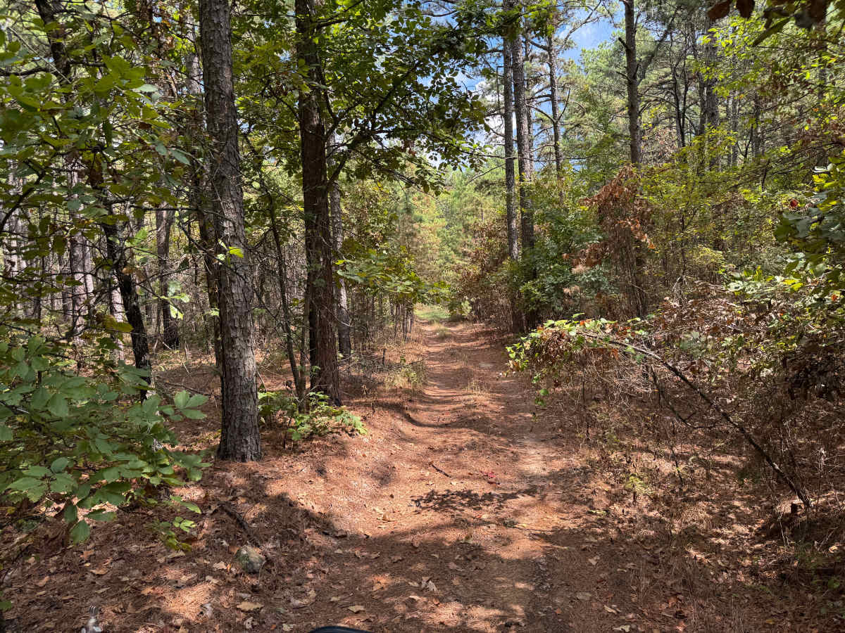 Piney Ridge photo 3