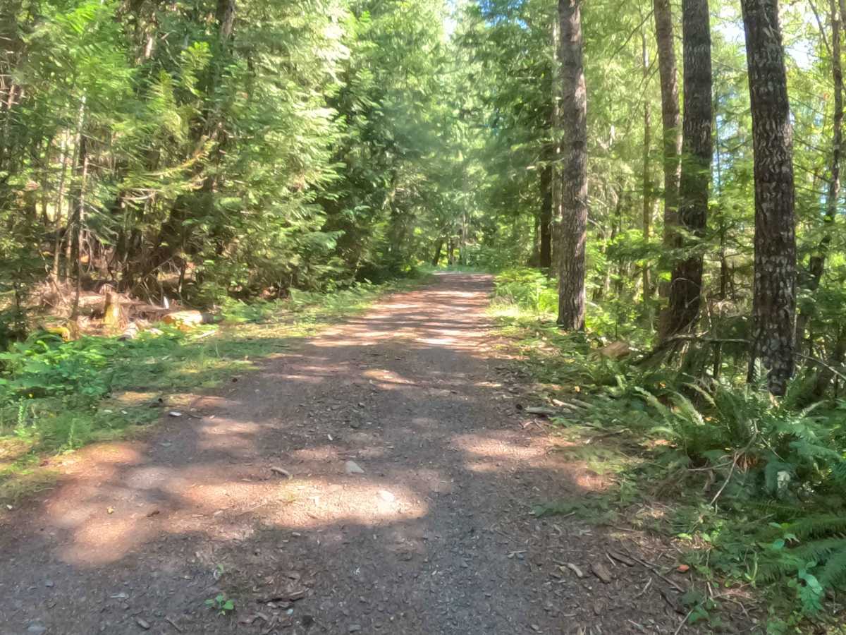 Minto Mountain Road - FS 2253125 photo 2