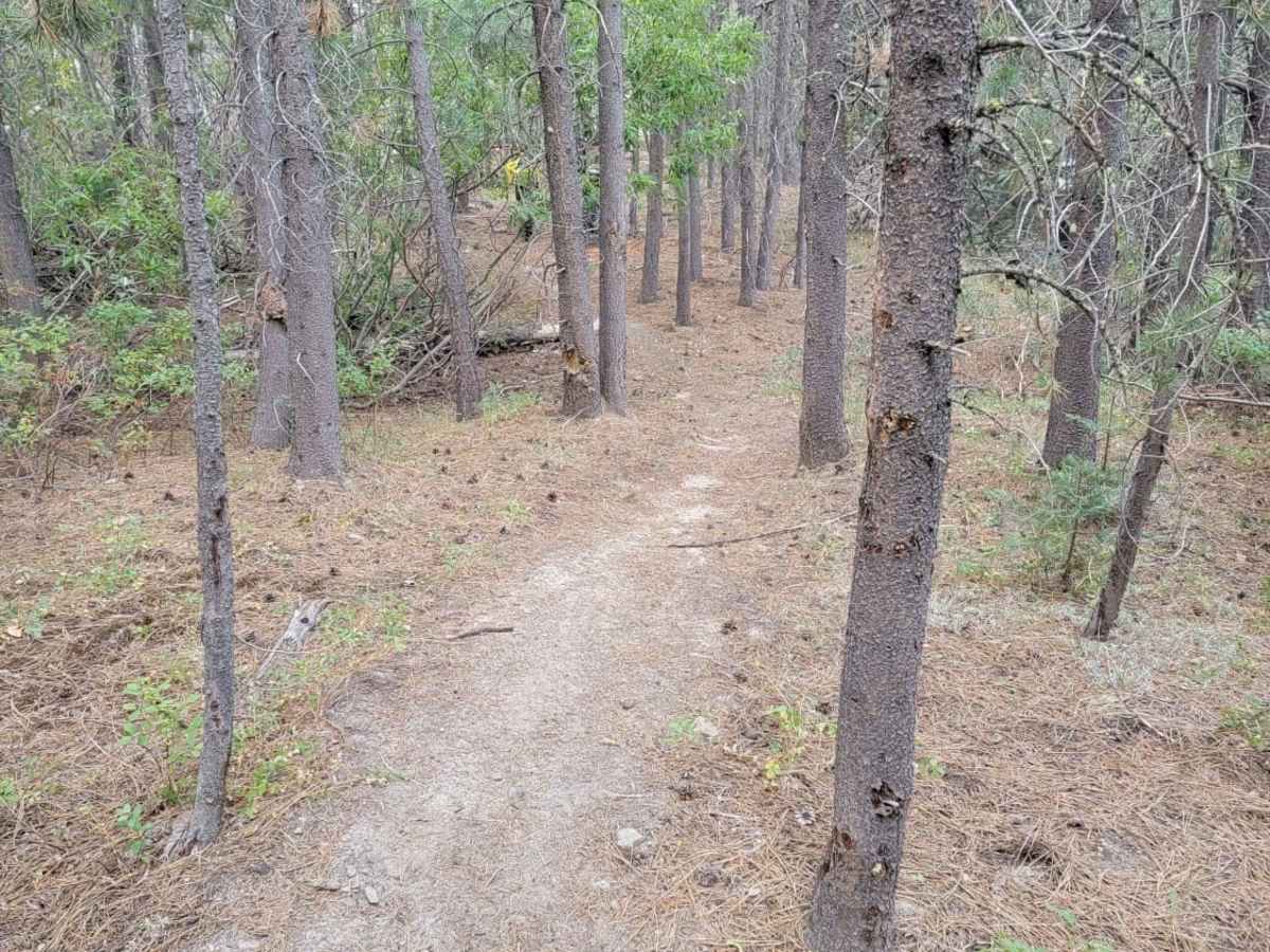 Janesville Singletrack photo 6