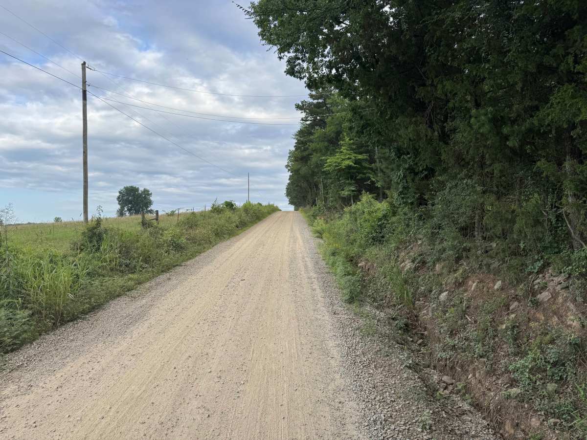 County Road 4418 trail photo
