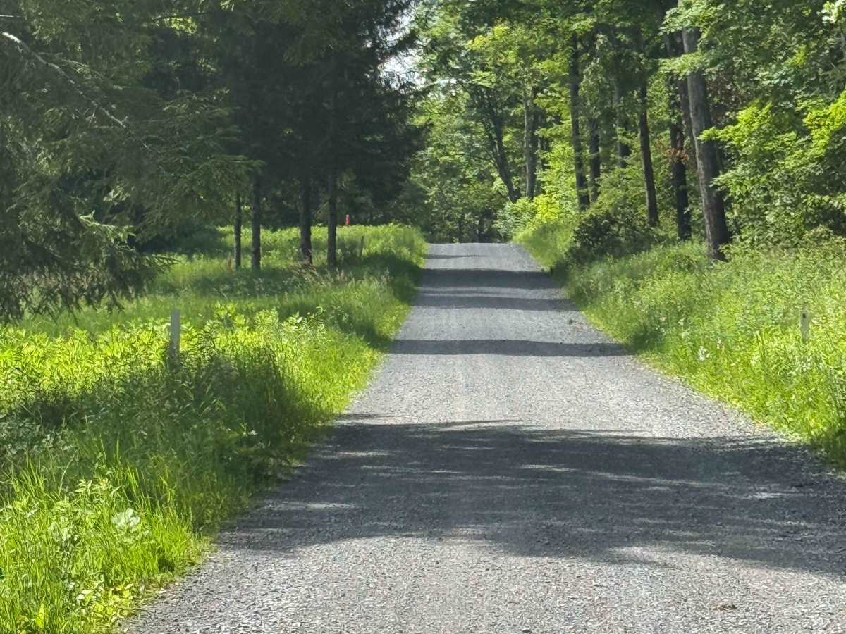 Billy Lewis Road photo 4