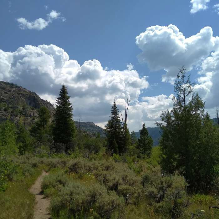Near Boulder Canyon Trail #7113