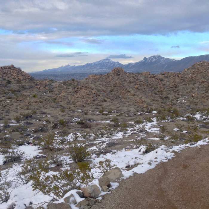 The rocky desert landscape and sparse plantlife give the Mount Cristo Rey trail a distinct, other-worldly feel. Near Mount Cristo Rey
