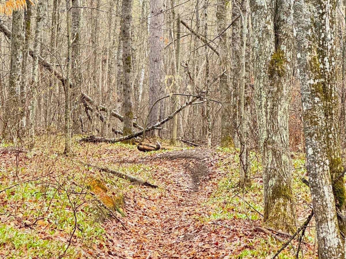 Tomahawk C loop Southeast Leg photo 3