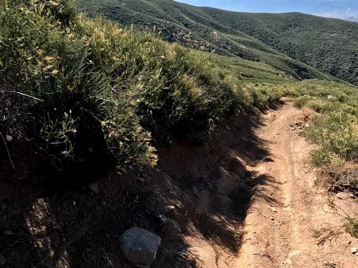 Sierra OHV Trail photo 3