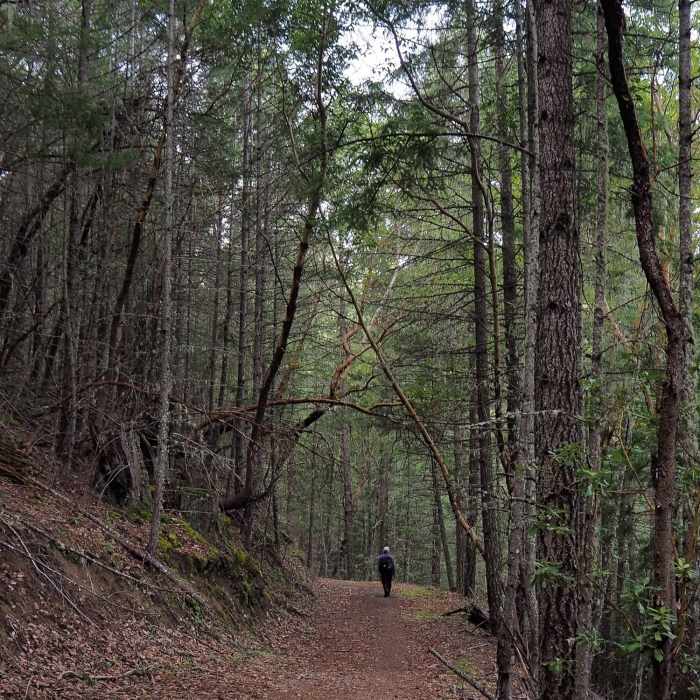 Near Arrowhead Pass Trail