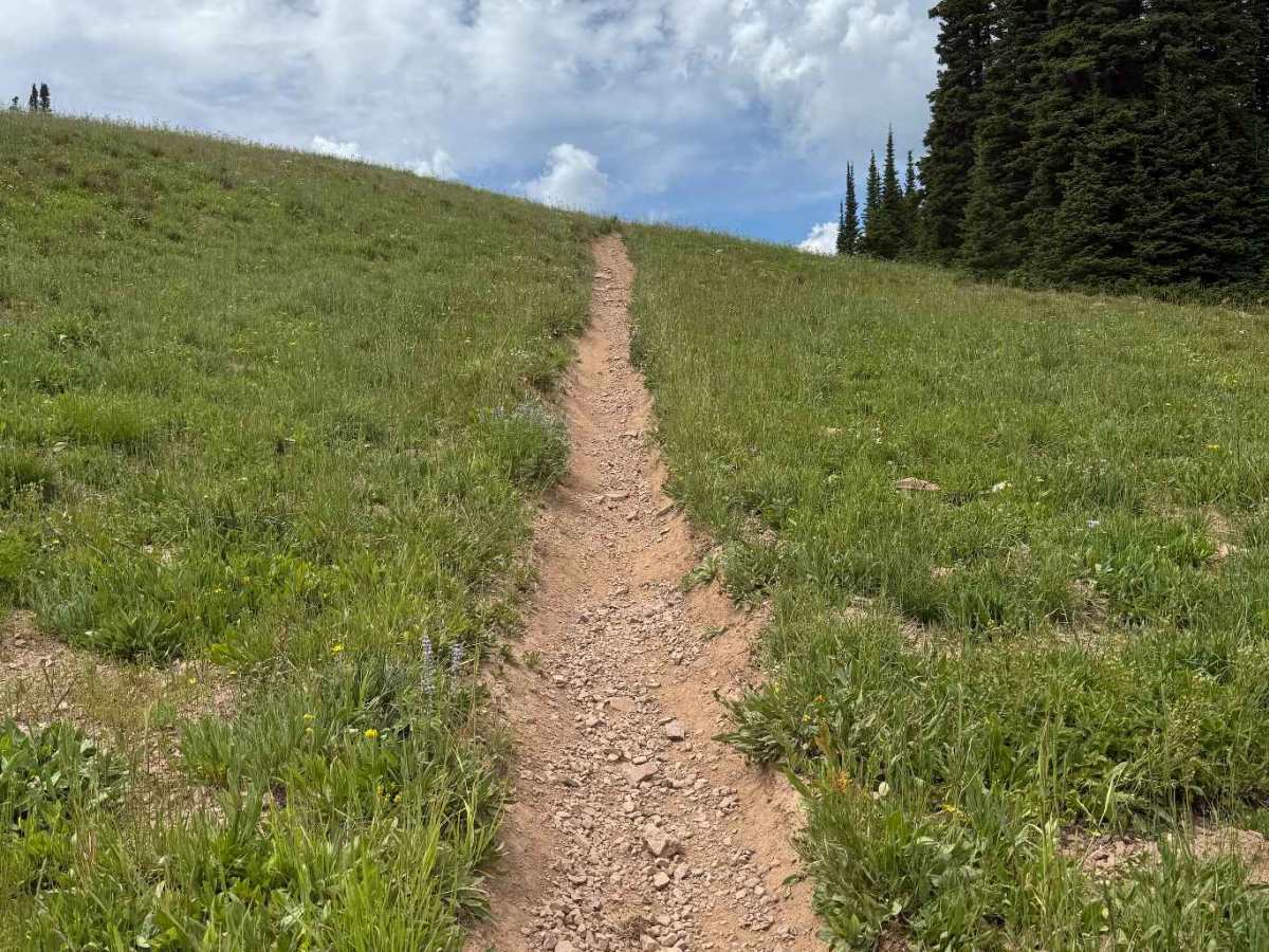 Garnes Mountain trail photo