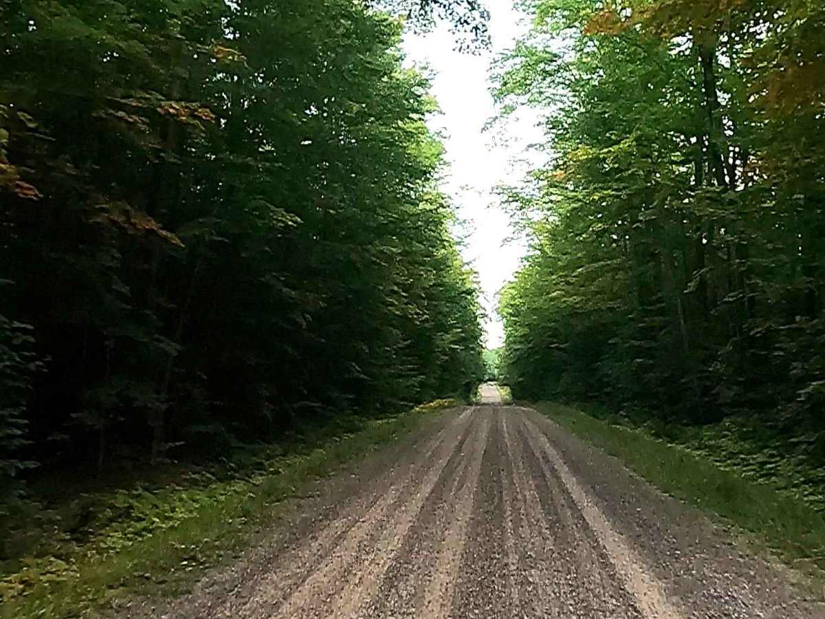 Rexford Road - FS 3157 photo 6